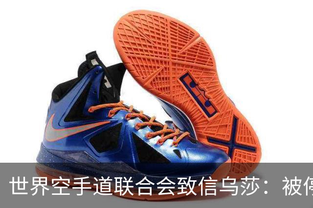 世界空手道联合会致信乌莎：被停职裁判为何随印度队出征
