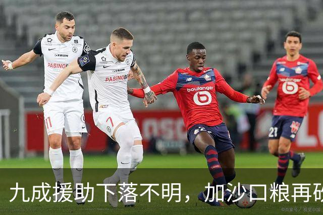 九成援助下落不明，加沙口粮再砍三分之一，欧洲的善意已经见底
