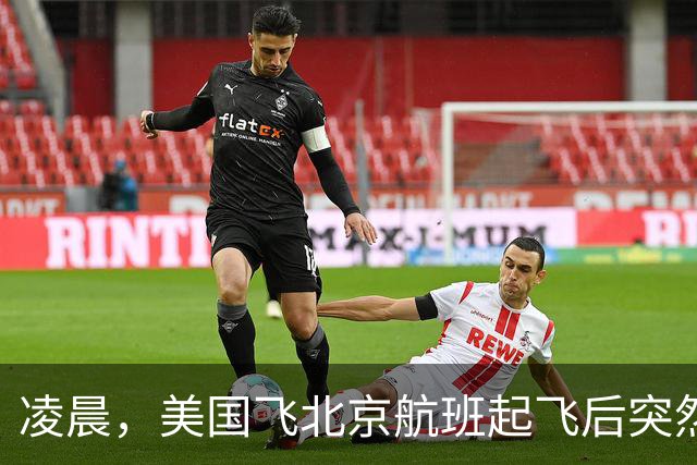凌晨，美国飞北京航班起飞后突然返航，机上有262人，航司回应