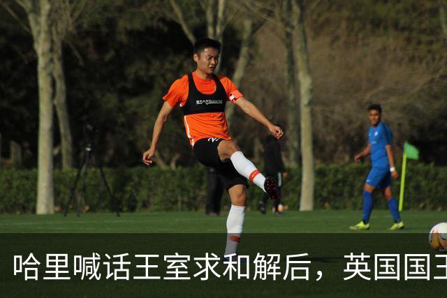 哈里喊话王室求和解后，英国国王举办国宴，高调赞扬威廉王子