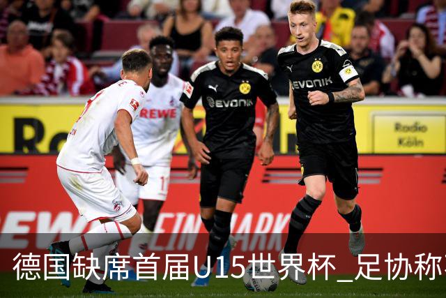 德国缺席首届U15世界杯 足协称不宜让球员过早承压