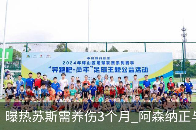 曝热苏斯需养伤3个月 阿森纳正与巴西队交涉