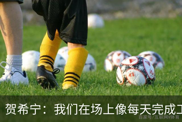 贺希宁：我们在场上像每天完成工作一样 完全可以干其他有意义的事