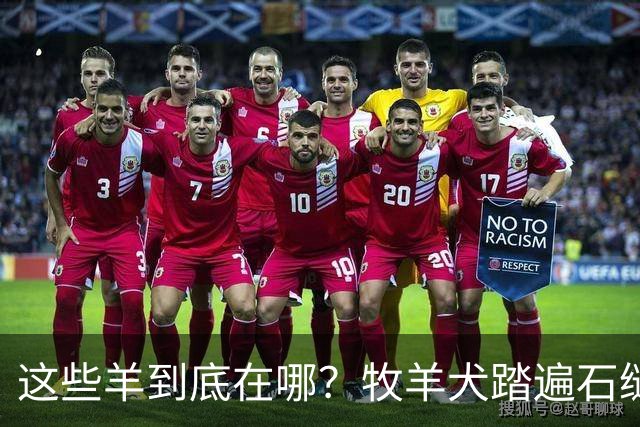 这些羊到底在哪？牧羊犬踏遍石缝只为把你找出来啊！