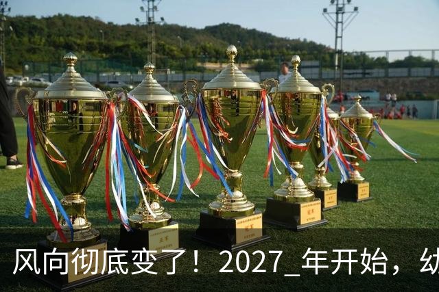 风向彻底变了！2027 年开始，幼儿园、养老院、月嫂行业或迎大变局
