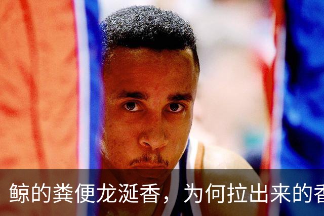 鲸的粪便龙涎香，为何拉出来的香且比黄金贵，人工取出来的臭？