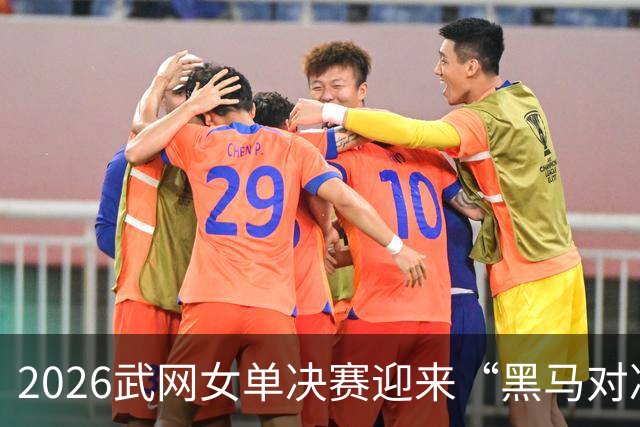 2026武网女单决赛迎来“黑马对决”，斯瓦泰克波兰德比落败，赫瓦林斯卡将与卡塔尔争冠