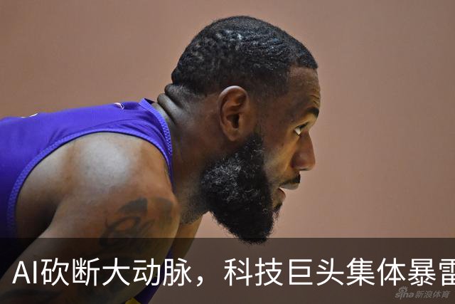 AI砍断大动脉，科技巨头集体暴雷！